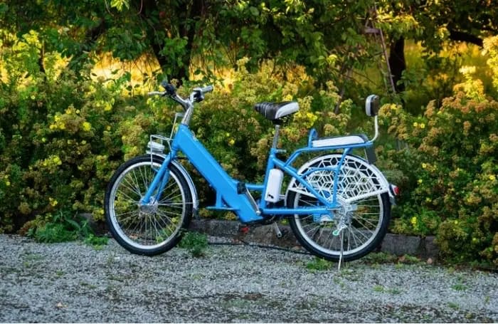 Electric Bike Standing