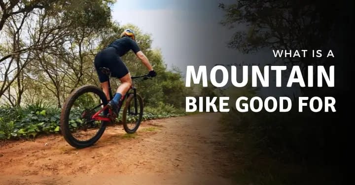 What Is a Mountain Bike Good For